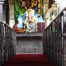 3-Temple_Photo_1005__MG_8453_CMP_WM