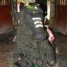 JAYANTI-BRAHMOTSAVAM-2013_Photo_1006_DSC_0094_CMP_WM