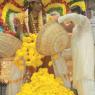 JAYANTI-BRAHMOTSAVAM-2013_Photo_1088_IMG_8998_CMP_WM