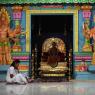 01-Pratyaksha-Pada-Puja_Photo_1006_IMG_0343_CMP_WM