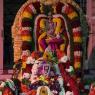 01-AvanthiHoma-Pictures_Photo_1039_IMG_3637_CMP_WM