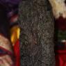 IMG_7319_CMP_WM