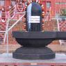 1-Rudrabhishekam_Photo_1009_IMG_7522_CMP_WM