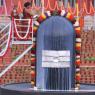 1-Rudrabhishekam_Photo_1010_IMG_7523_CMP_WM