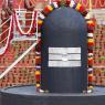 1-Rudrabhishekam_Photo_1025__MG_7494_CMP_WM