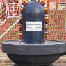 1-Rudrabhishekam_Photo_1041__MG_7523_CMP_WM