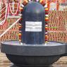 1-Rudrabhishekam_Photo_1042__MG_7524_CMP_WM