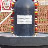 1-Rudrabhishekam_Photo_1043__MG_7525_CMP_WM
