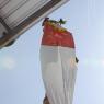 IMG_5266_CMP_WM