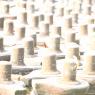 20130526_Photo_1005_1DfDea2Eu8FHwgBRgSaoh2sBwc7n9c1EN