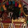 01-Temple-Procession-Surasamharam_Photo_1022_IMG_3555_CMP_WM