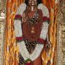 IMG_0421_CMP_WM