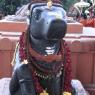 2-EVENING-BHARANI-DEEPAM_Photo_1006_IMG_9307_CMP_WM