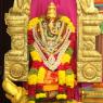 2-Satsang_Photo_1002_IMG_9771_CMP_WM