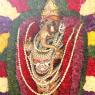 2-Satsang_Photo_1027_IMG_9953_CMP_WM