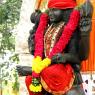 3-HDH-With-Deities-and-Homa_Photo_1002_IMG_0034_CMP_WM_IMG_9902_CMP_WM