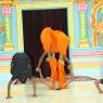 4-Yoga_Photo_1011_IMG_0229_CMP_WM