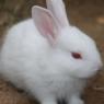 20140715_Photo_1000_IMG_0436_CMP_WM