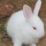 20140715_Photo_1005_IMG_0445_CMP_WM