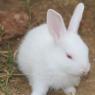 20140715_Photo_1006_IMG_0446_CMP_WM