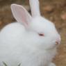 20140715_Photo_1007_IMG_0447_CMP_WM
