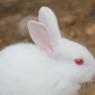 2014-JUL-15-AFP-13851