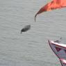 20140501_Photo_1045_DSC_7721_CMP_WM