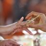 03-RAJESH-CHANDRAMOHAN-MARRIAGE_Photo_1031_IMG_9091_CMP_WM