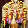 01-MORNING-SATSANG_Photo_1013_IMG_0568_CMP_WM