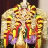 01-MORNING-SATSANG_Photo_1014_IMG_0569_CMP_WM