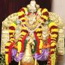 01-MORNING-SATSANG_Photo_1015_IMG_0570_CMP_WM