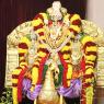 01-MORNING-SATSANG_Photo_1016_IMG_0571_CMP_WM