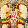 01-MEENAKSHI-TIRUKALYANAM_Photo_1017_IMG_5259_CMP_WM(1)