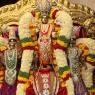 01-MEENAKSHI-TIRUKALYANAM_Photo_1019_IMG_5262_CMP_WM