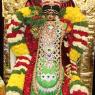 01-MEENAKSHI-TIRUKALYANAM_Photo_1020_IMG_5263_CMP_WM