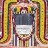 2-Vaidya-Sarovar_Photo_1034_IMG_4446_CMP_WM