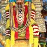 3-Rathotsavam_Photo_1014_IMG_4511_CMP_WM(1)