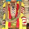 3-Rathotsavam_Photo_1015_IMG_4512_CMP_WM(1)