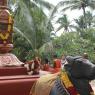 01-DHWAJAROHANAM_Photo_1006_IMG_3357_CMP_WM
