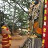 01-DHWAJAROHANAM_Photo_1022_IMG_3397_CMP_WM(1)