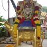 01-DHWAJAROHANAM_Photo_1082_IMG_3501_CMP_WM