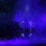 IMG_9752_CMP_WM(1)
