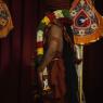 02-ANNAMAYAKOSHA-MEDITATION_Photo_1075_IMG_3217_CMP_WM