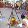 1-Pongal-Celebration_Photo_1060_IMG_4557_CMP_WM