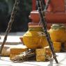 1-Pongal-Celebration_Photo_1173__F0A5143_CMP_WM