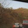 IMG_9934_CMP_WM
