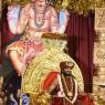 1-SHUDDADVAITAM-ADVANCED_Photo_1021_DSC_5935_CMP_WM