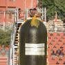 Vaidya-Sarovar-Shiva-Linga-Abhisekam_Photo_1030_DSC_7070_CMP_WM