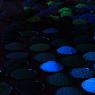 IMG_2384_CMP_WM