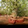 01-THIRUVANNAMALAI-ARRIVAL_Photo_1012_DSC_8179_CMP_WM